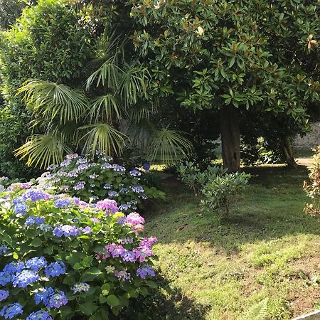 Appartamento La Camelia Ameno Exterior foto