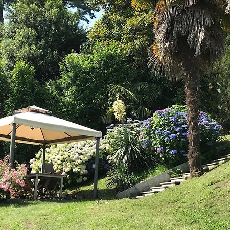 Appartamento La Camelia Ameno Exterior foto