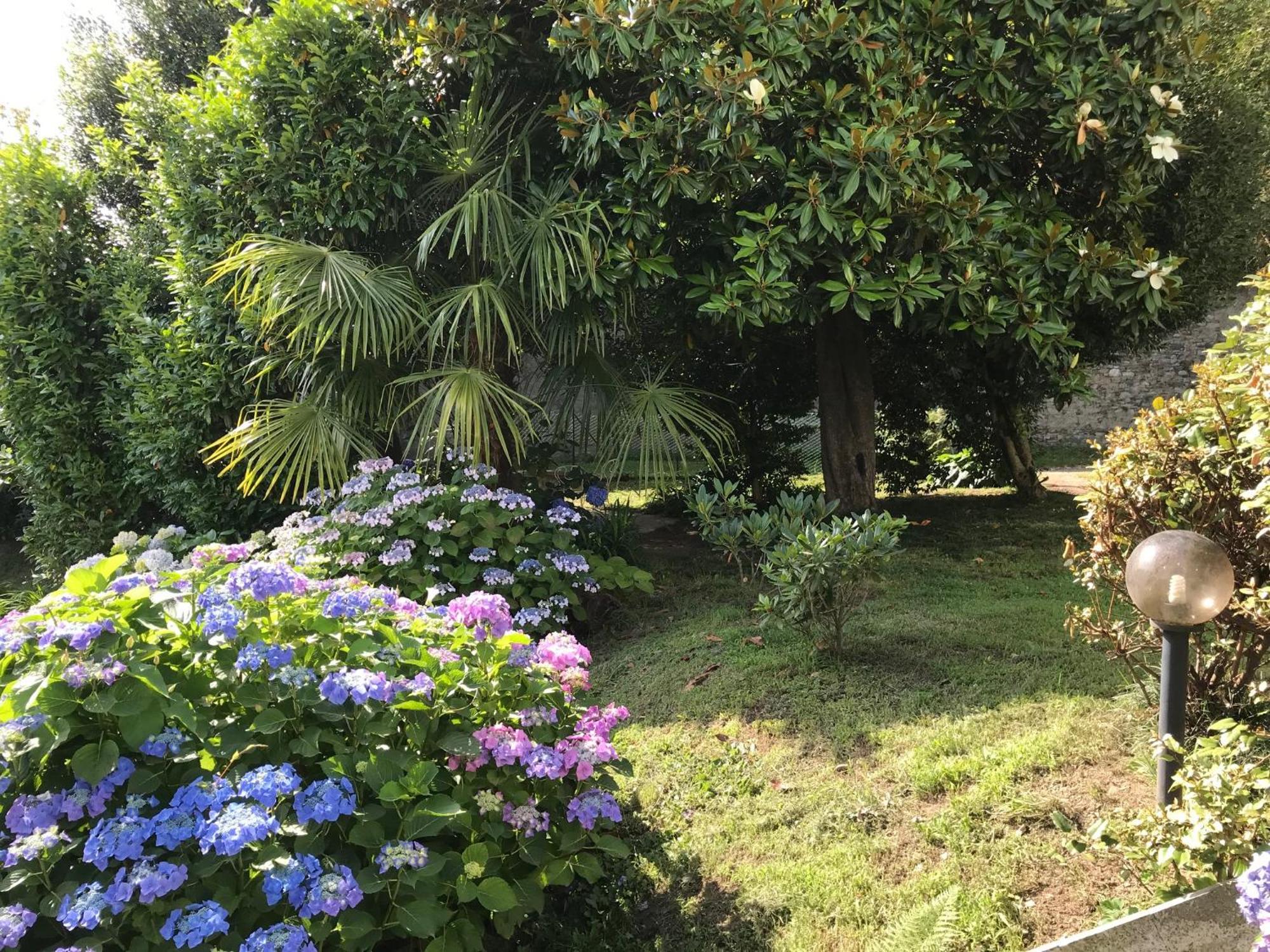 Appartamento La Camelia Ameno Exterior foto