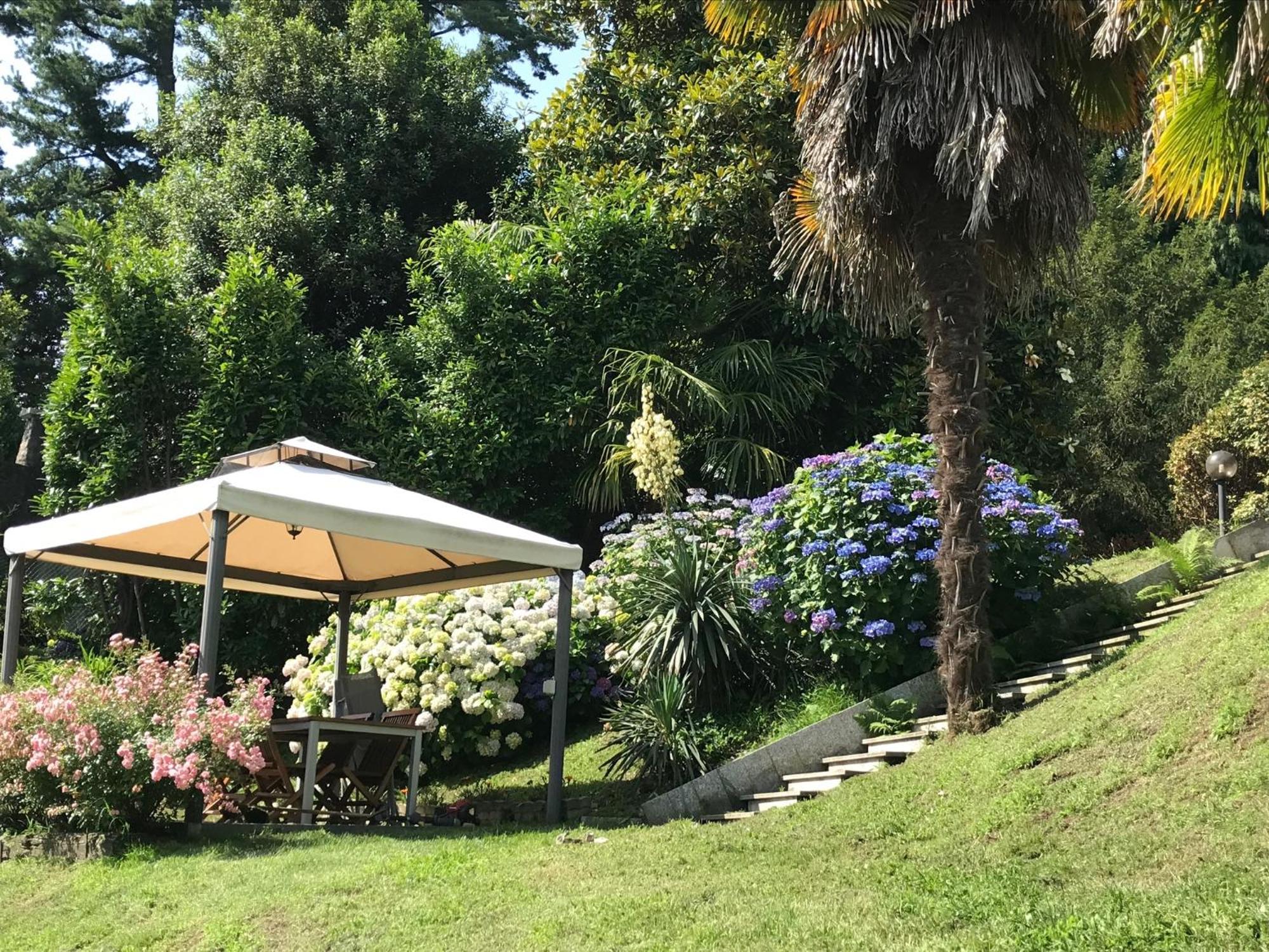 Appartamento La Camelia Ameno Exterior foto