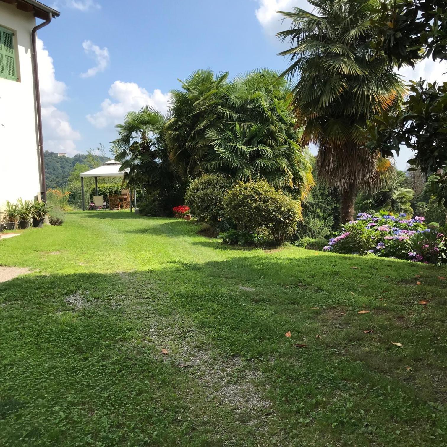 Appartamento La Camelia Ameno Exterior foto